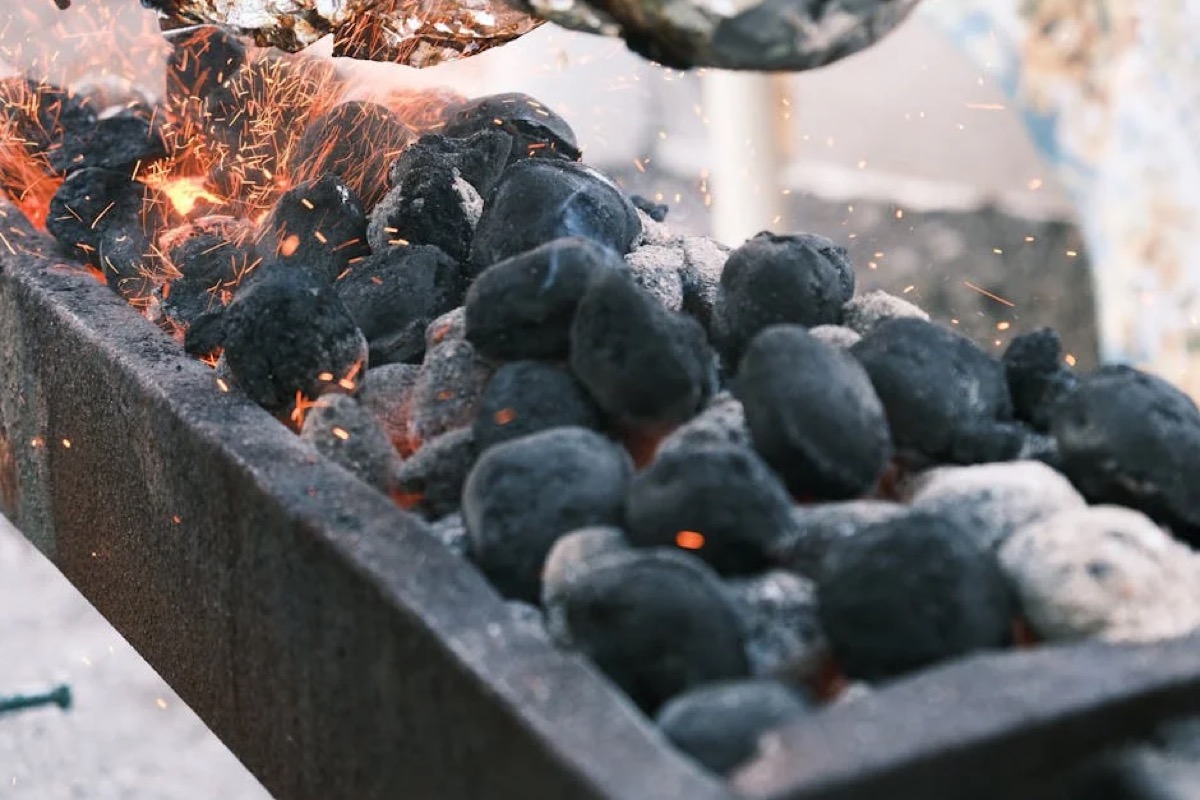 Portable Charcoal Grills: Buyer's Guide for Camping