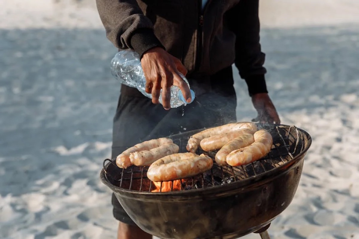 Portable Blackstone Grill Buyer's Guide: Which Model to Buy
